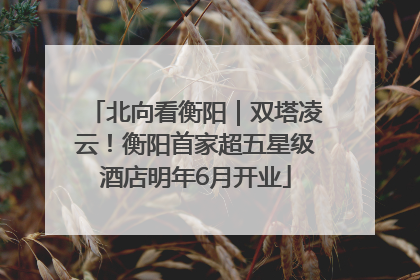 北向看衡阳｜双塔凌云！衡阳首家超五星级酒店明年6月开业