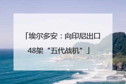 埃尔多安:向印尼出口48架“五代战机”