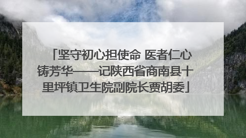坚守初心担使命 医者仁心铸芳华——记陕西省商南县十里坪镇卫生院副院长贾胡委
