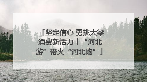 坚定信心 勇挑大梁·消费新活力丨“河北游”带火“河北购”