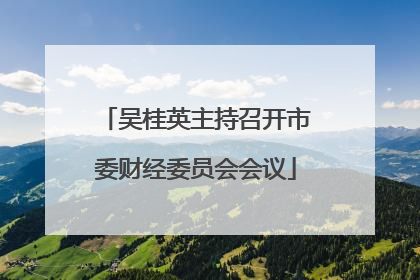 吴桂英主持召开市委财经委员会会议