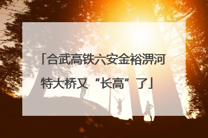 合武高铁六安金裕淠河特大桥又“长高”了