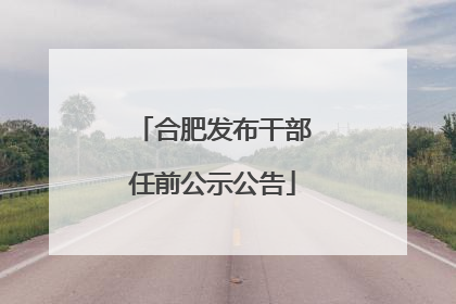 合肥发布干部任前公示公告