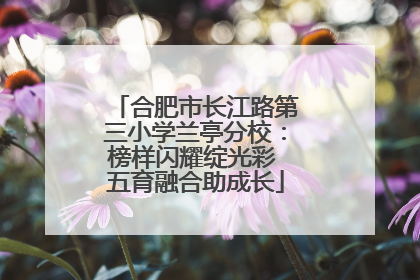 合肥市长江路第三小学兰亭分校：榜样闪耀绽光彩 五育融合助成长