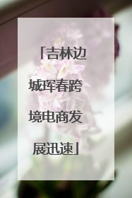 吉林边城珲春跨境电商发展迅速