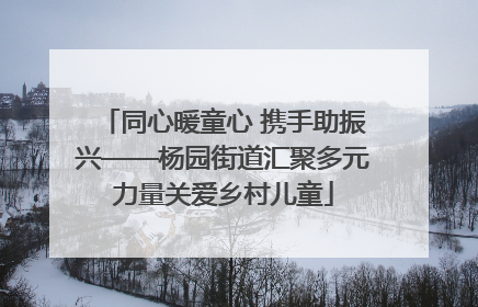 同心暖童心 携手助振兴——杨园街道汇聚多元力量关爱乡村儿童