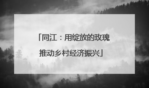 同江：用绽放的玫瑰 推动乡村经济振兴