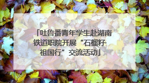 吐鲁番青年学生赴湖南铁道职院开展“石榴籽·祖国行”交流活动