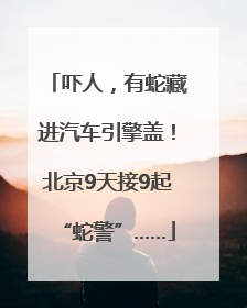 吓人，有蛇藏进汽车引擎盖！北京9天接9起“蛇警”……