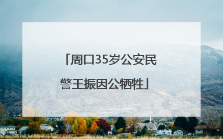 周口35岁公安民警王振因公牺牲