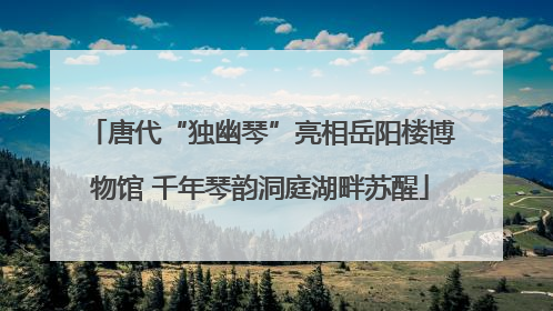 唐代“独幽琴”亮相岳阳楼博物馆 千年琴韵洞庭湖畔苏醒