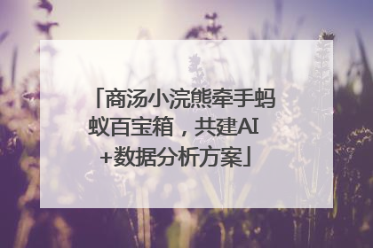 商汤小浣熊牵手蚂蚁百宝箱，共建AI+数据分析方案