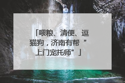 喂粮、清便、逗猫狗，济南有帮“上门宠托师”