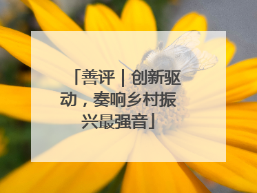 善评｜创新驱动，奏响乡村振兴最强音