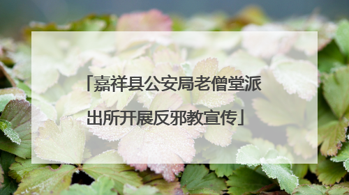 嘉祥县公安局老僧堂派出所开展反邪教宣传