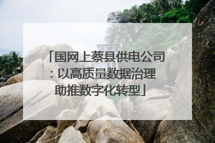 国网上蔡县供电公司：以高质量数据治理 助推数字化转型