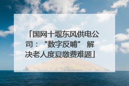 国网十堰东风供电公司：“数字反哺” 解决老人度夏缴费难题
