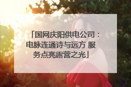国网庆阳供电公司：电脉连通诗与远方 服务点亮露营之光
