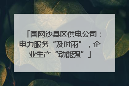 国网沙县区供电公司：电力服务“及时雨”，企业生产“动能强”