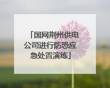 国网荆州供电公司进行防恐应急处置演练
