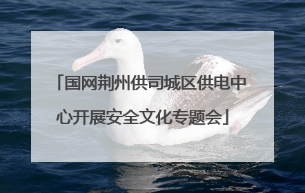 国网荆州供司城区供电中心开展安全文化专题会