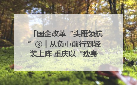 国企改革“头雁领航”③｜从负重前行到轻装上阵 重庆以“瘦身”谋“健体”