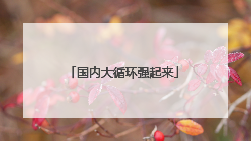 国内大循环强起来