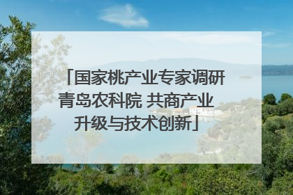 国家桃产业专家调研青岛农科院 共商产业升级与技术创新