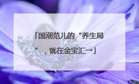 国潮范儿的“养生局”，就在金宝汇→