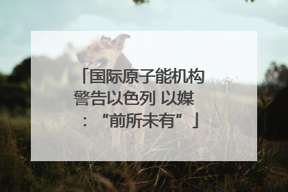 国际原子能机构警告以色列 以媒：“前所未有”
