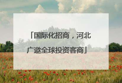 国际化招商，河北广邀全球投资客商