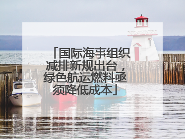 国际海事组织减排新规出台，绿色航运燃料亟须降低成本