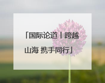 国际论道丨跨越山海 携手同行