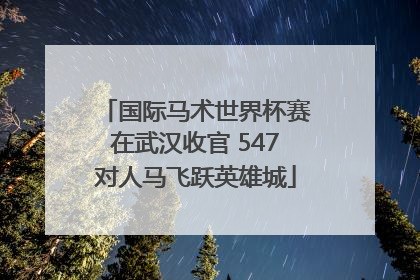 国际马术世界杯赛在武汉收官 547对人马飞跃英雄城