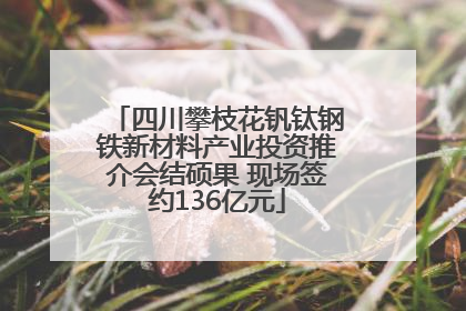 四川攀枝花钒钛钢铁新材料产业投资推介会结硕果 现场签约136亿元