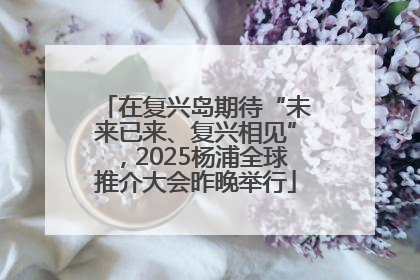 在复兴岛期待“未来已来、复兴相见”，2025杨浦全球推介大会昨晚举行