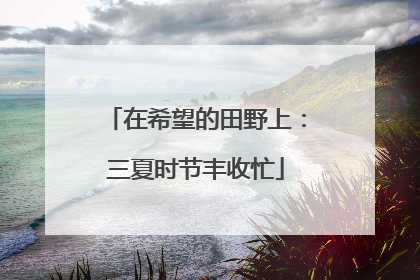 在希望的田野上：三夏时节丰收忙