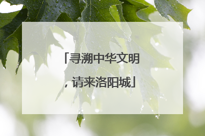 寻溯中华文明，请来洛阳城