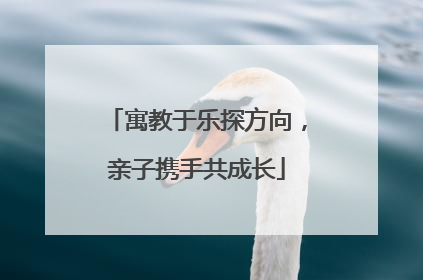 寓教于乐探方向，亲子携手共成长
