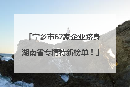 宁乡市62家企业跻身湖南省专精特新榜单！