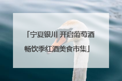 宁夏银川 开启葡萄酒畅饮季红酒美食市集