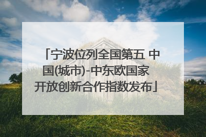宁波位列全国第五 中国(城市)-中东欧国家开放创新合作指数发布