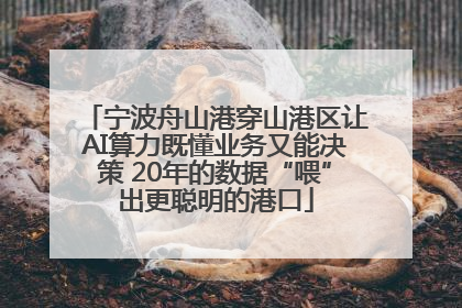 宁波舟山港穿山港区让AI算力既懂业务又能决策 20年的数据“喂”出更聪明的港口