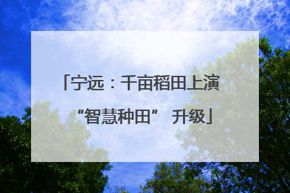宁远：千亩稻田上演 “智慧种田” 升级