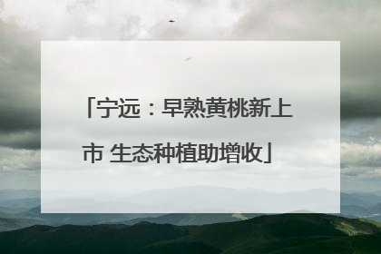 宁远：早熟黄桃新上市 生态种植助增收