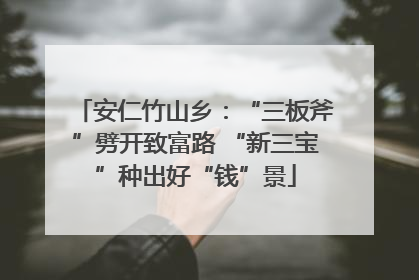 安仁竹山乡：“三板斧”劈开致富路 “新三宝”种出好“钱”景