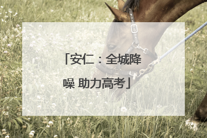 安仁：全城降噪 助力高考