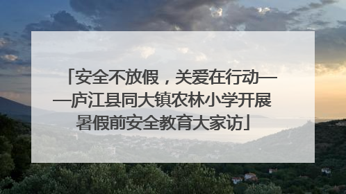 安全不放假，关爱在行动——庐江县同大镇农林小学开展暑假前安全教育大家访