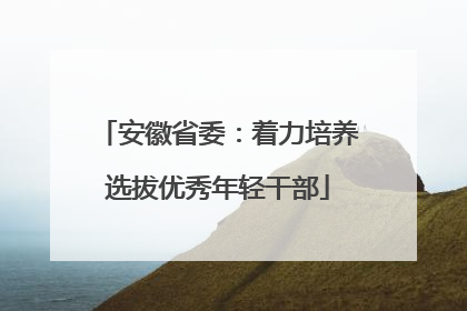 安徽省委：着力培养选拔优秀年轻干部