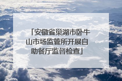 安徽省巢湖市卧牛山市场监管所开展自助餐厅监督检查